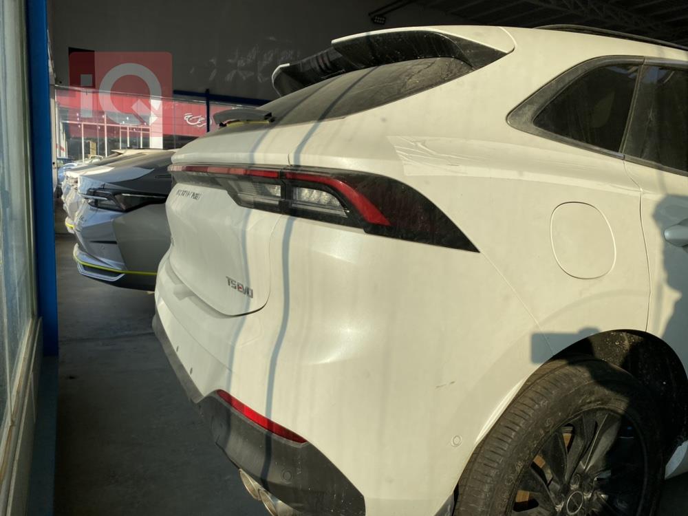 دونج فينج T5 EVO